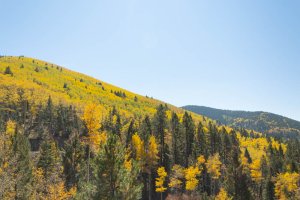 20201020FallColors2020188.jpg